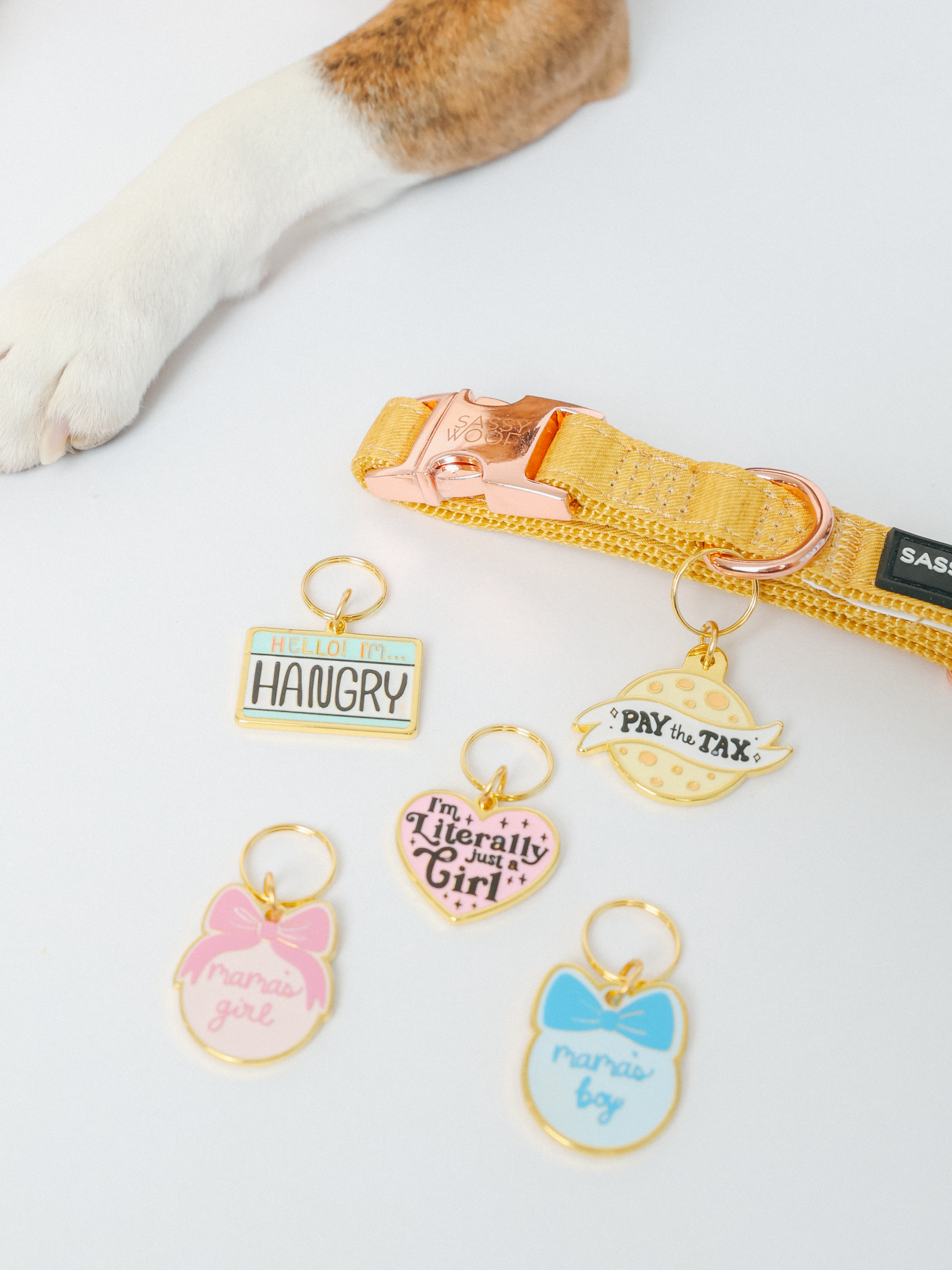Collar Tag - Cheese Tax