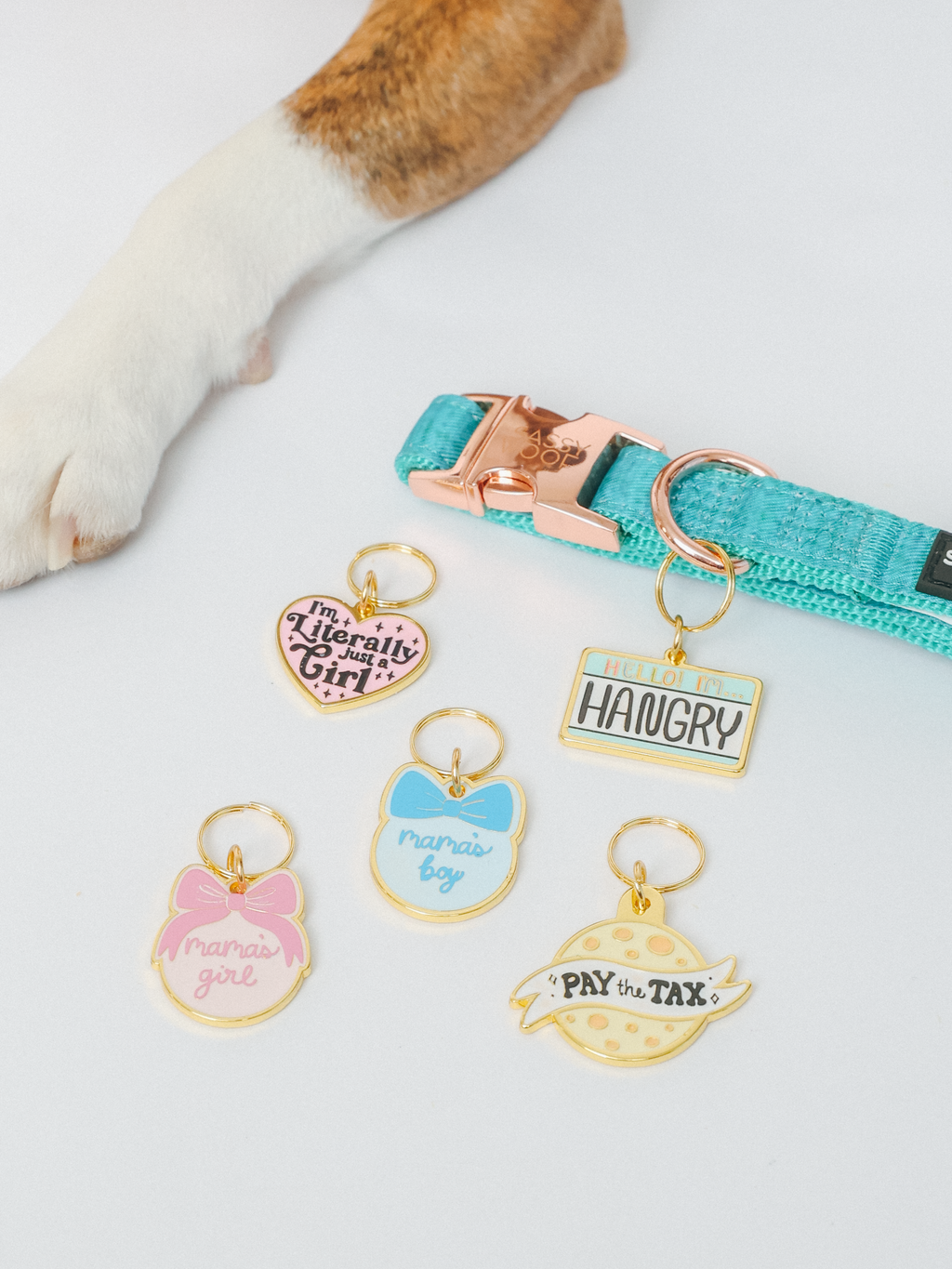 Collar Tag - Hello I'm Hangry