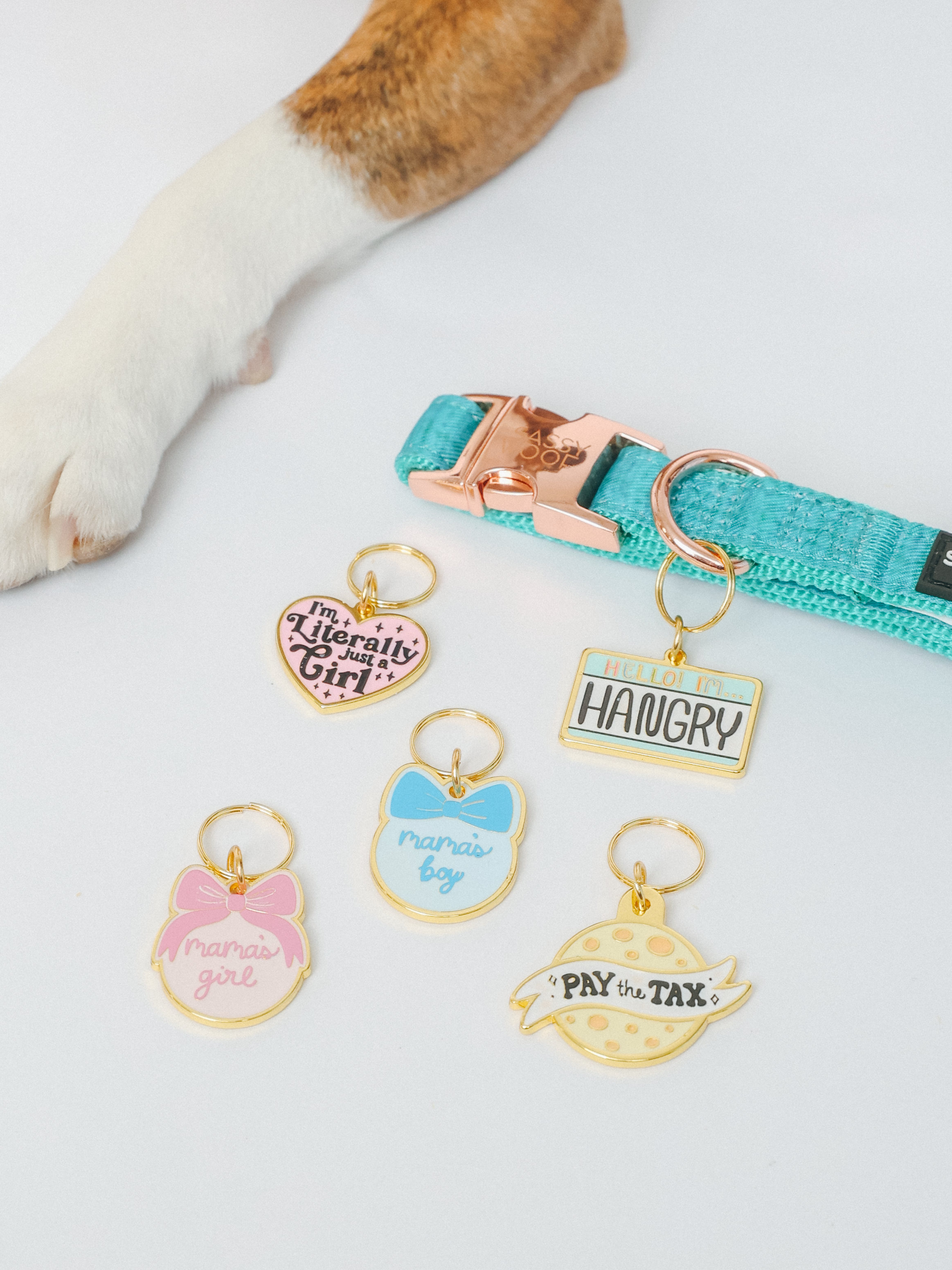 Collar Tag - Hello I'm Hangry