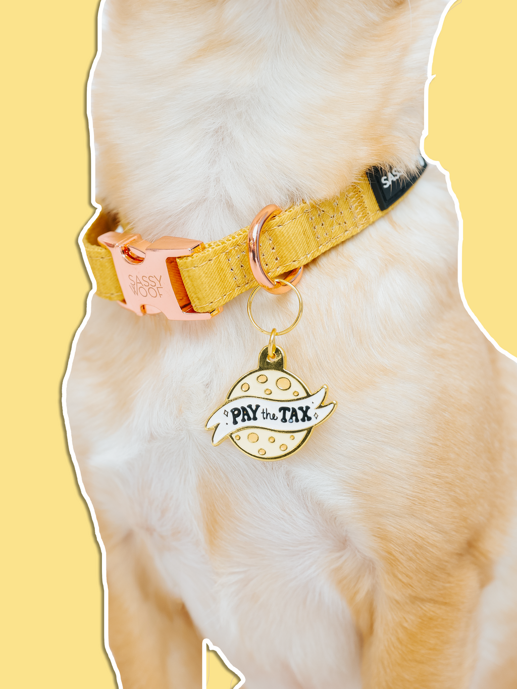 Collar Tag - Cheese Tax