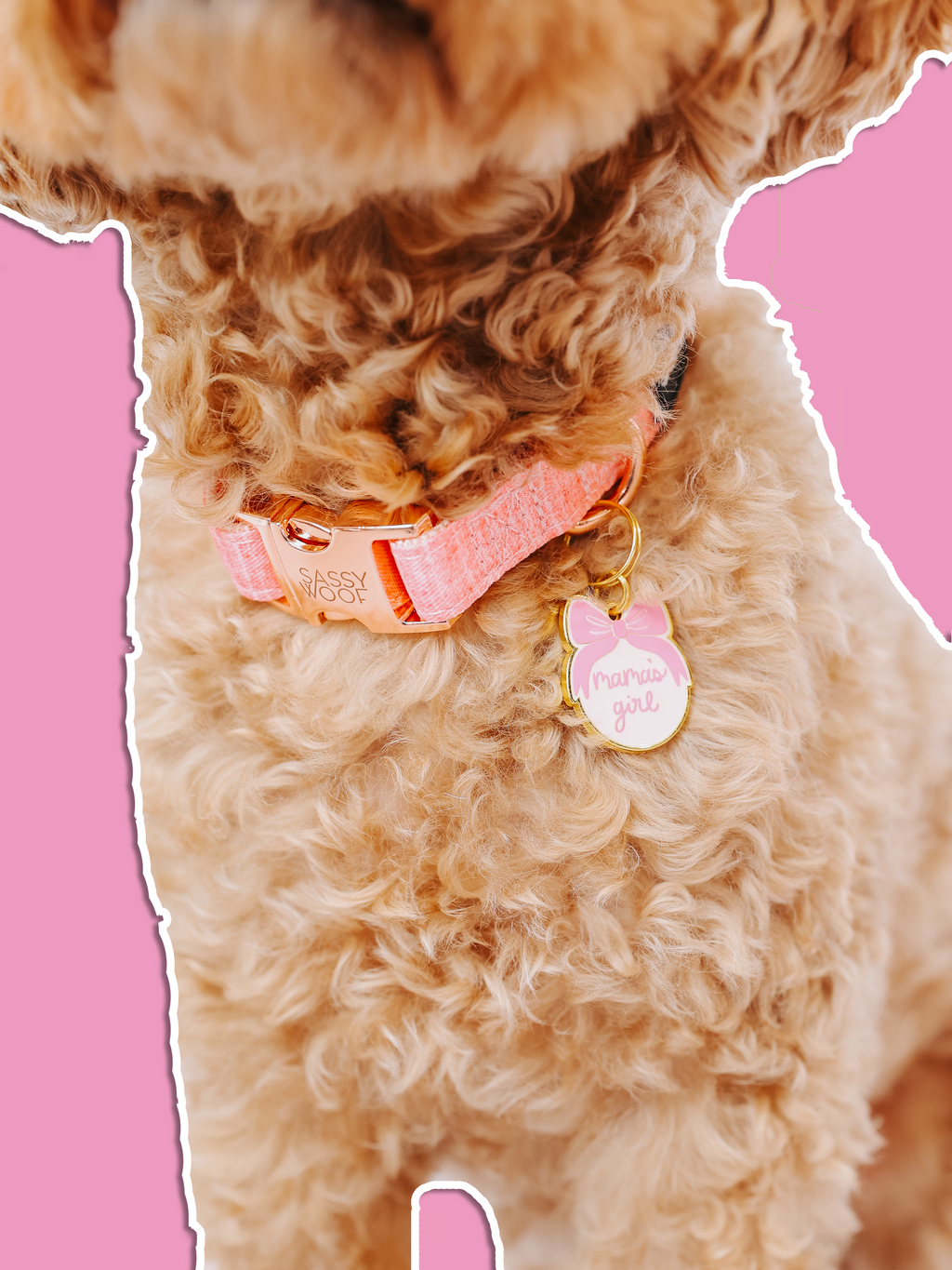 Collar Tag - Mama's Girl