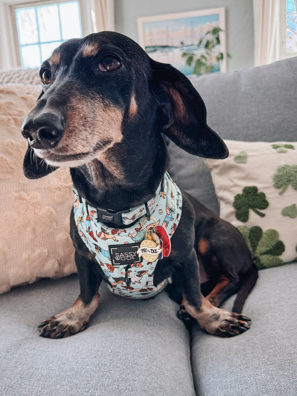 Collar Tag - Cheese Tax