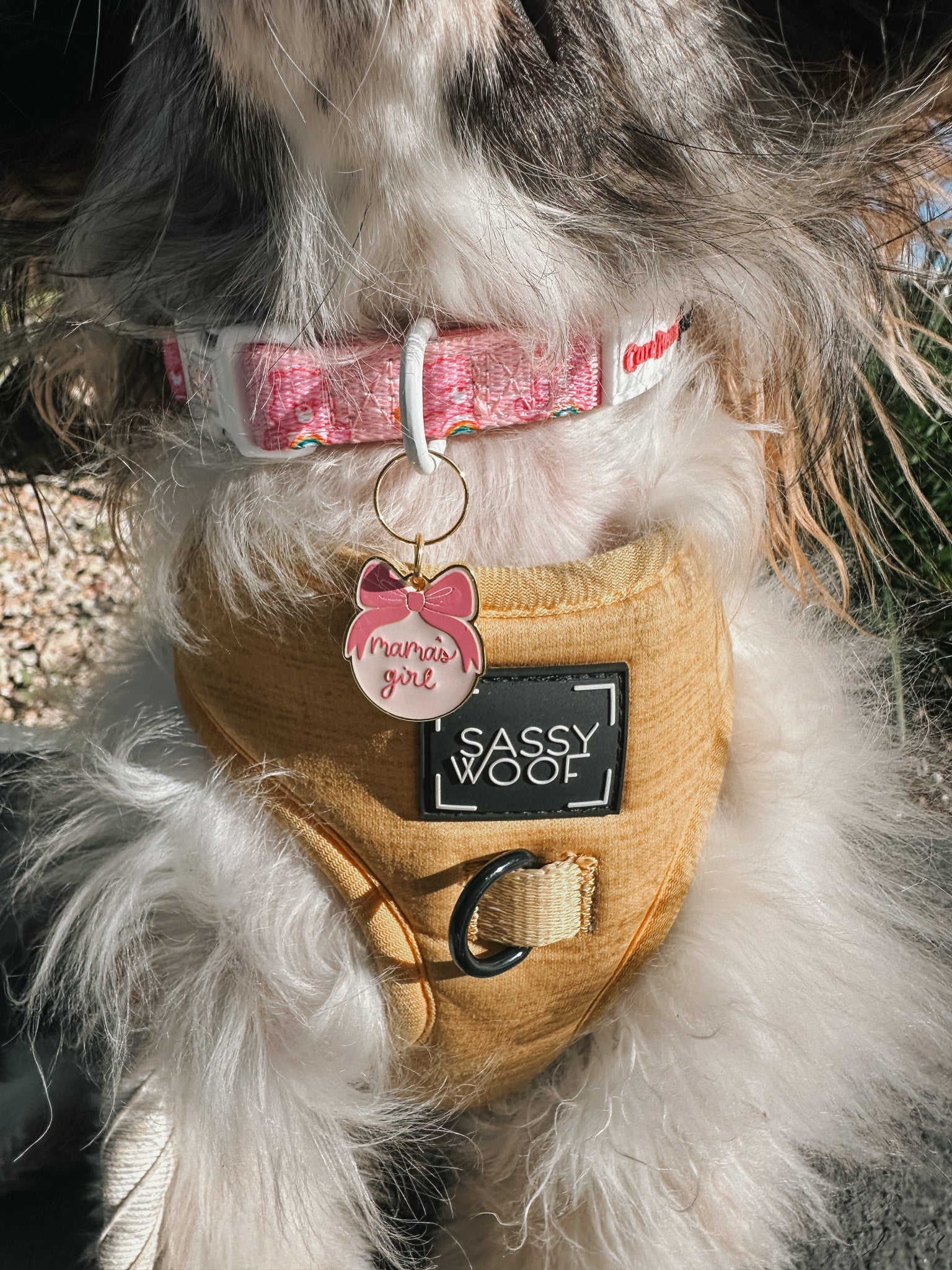 Collar Tag - Mama's Girl
