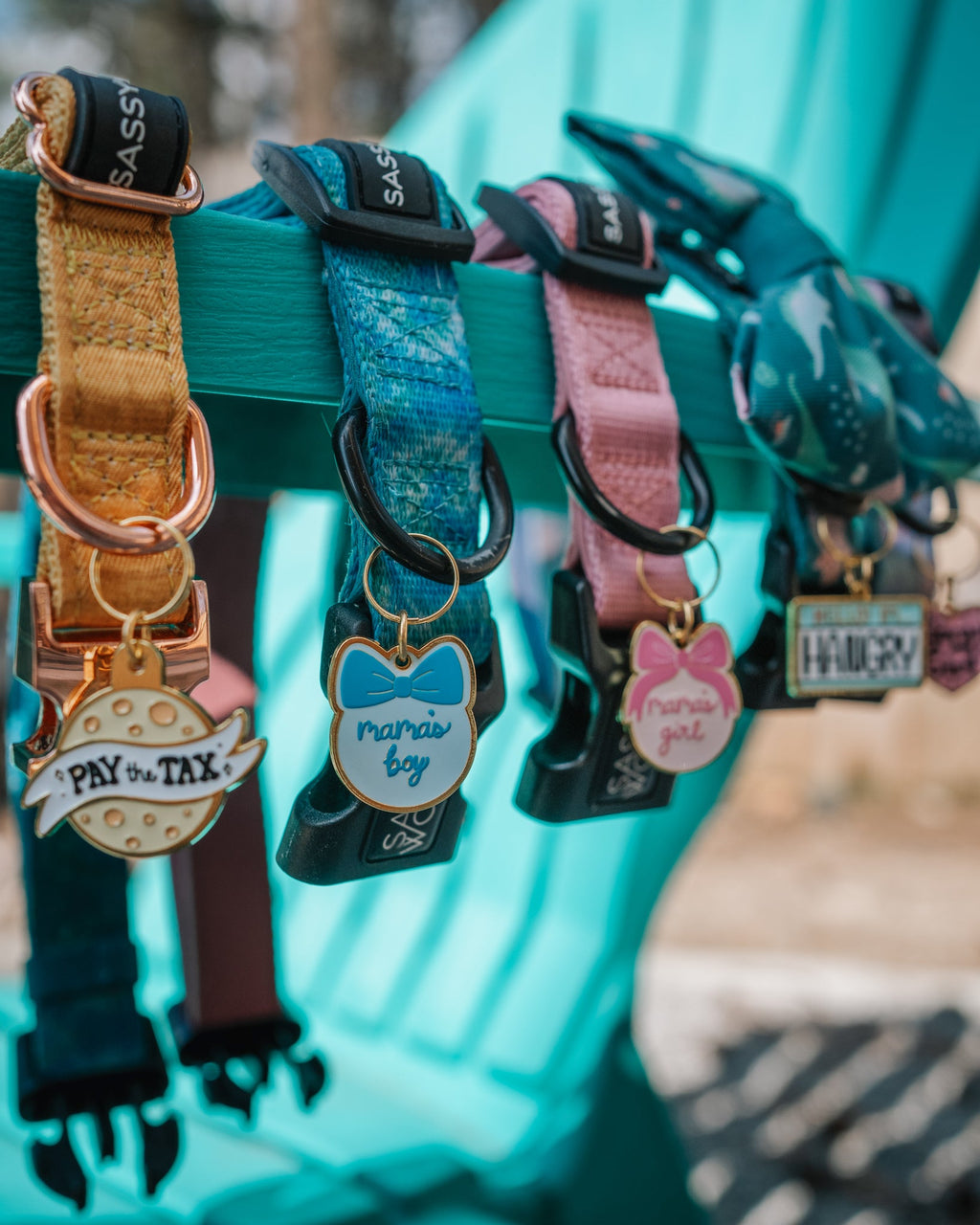 Collar Tag - Mama's Boy
