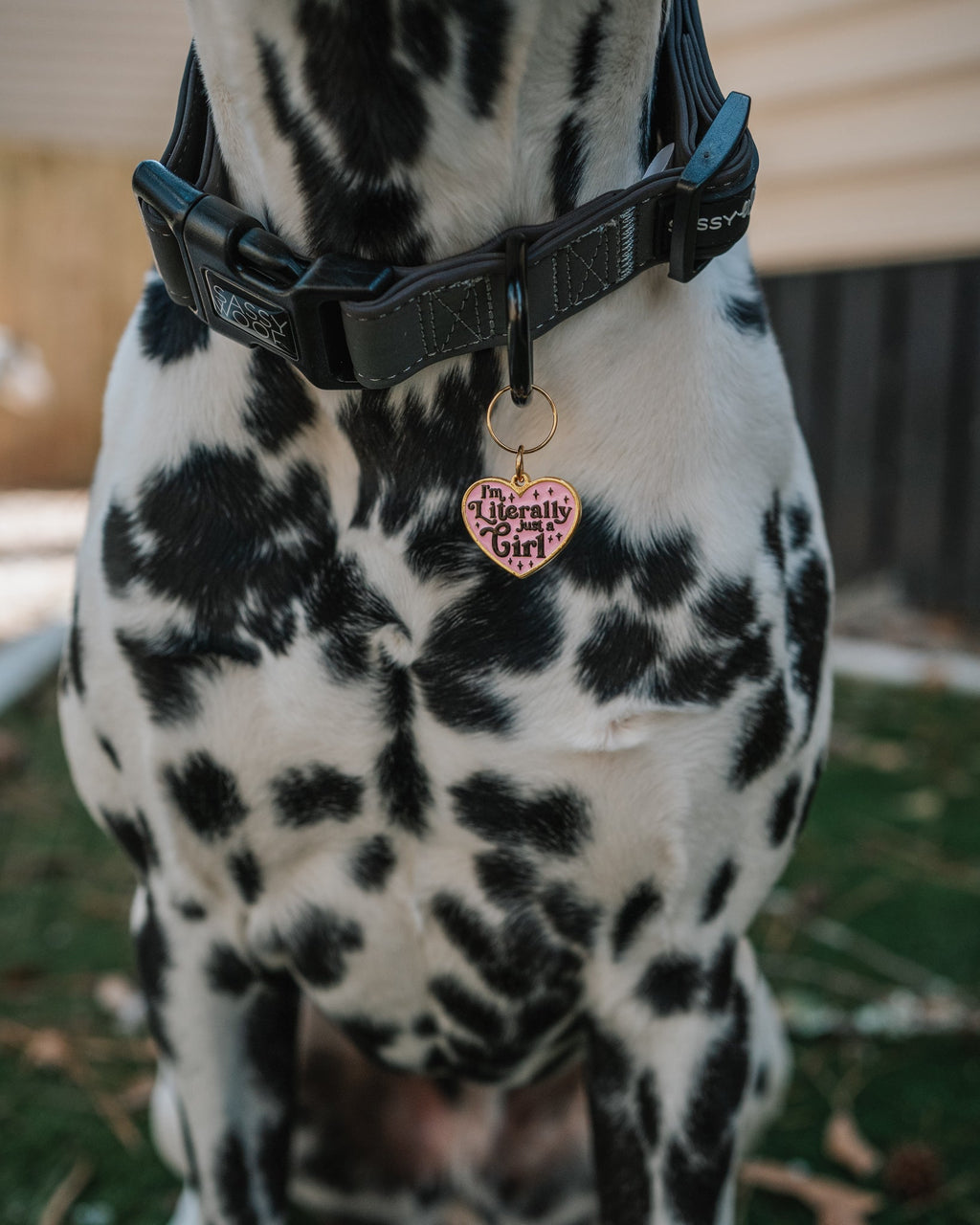 Collar Tag - Just a Girl