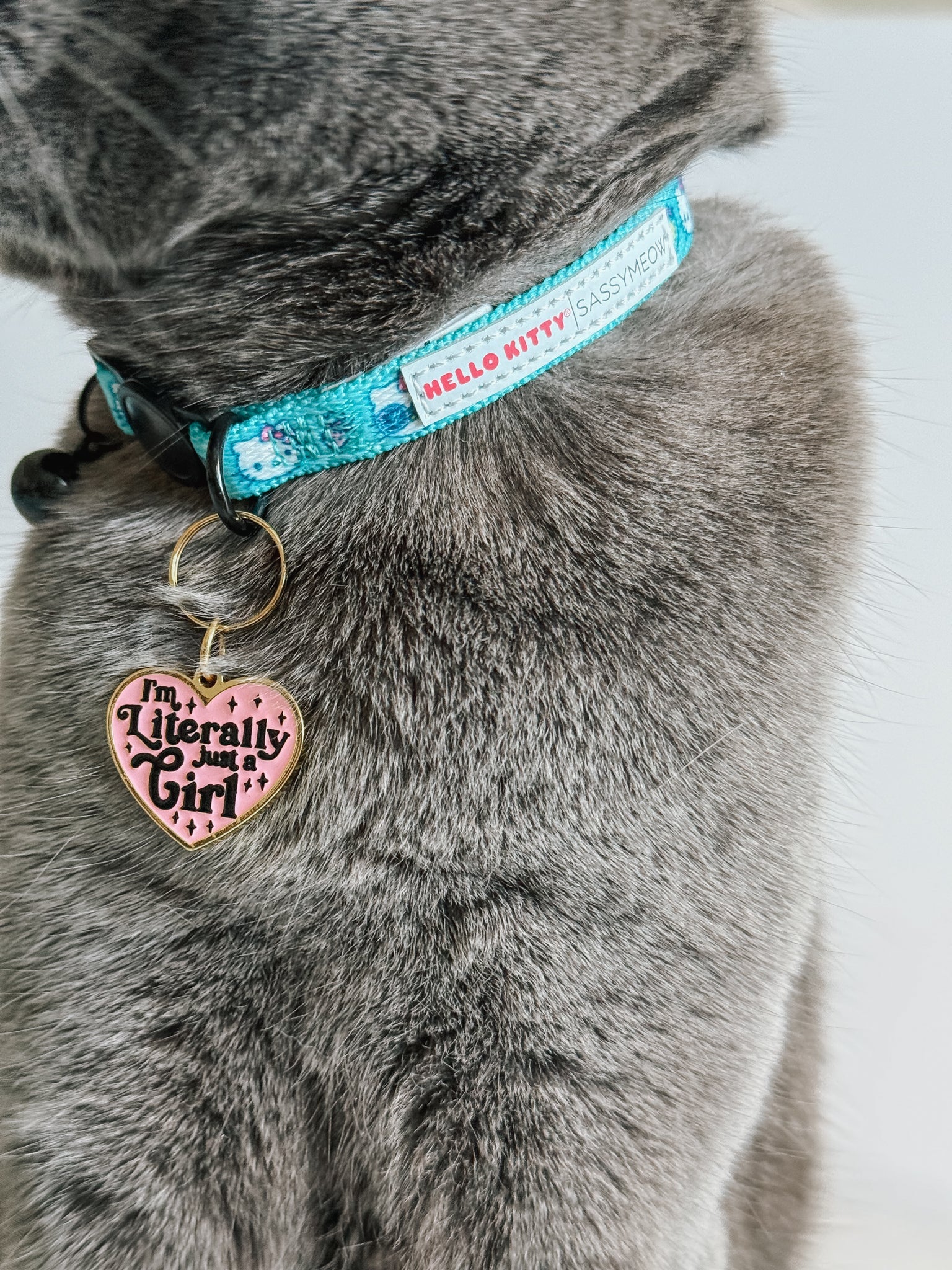 Collar Tag - Just a Girl