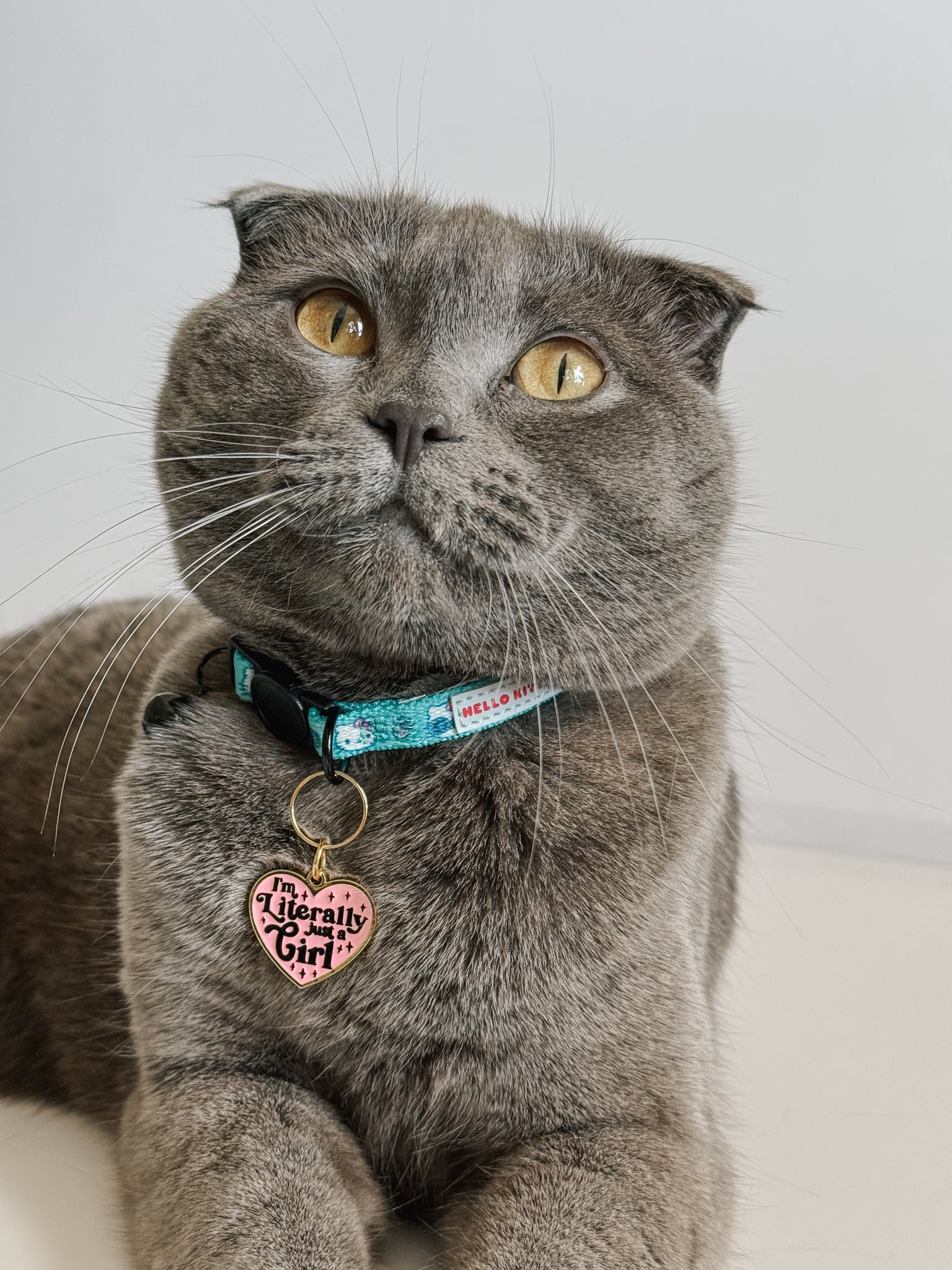 Collar Tag - Just a Girl