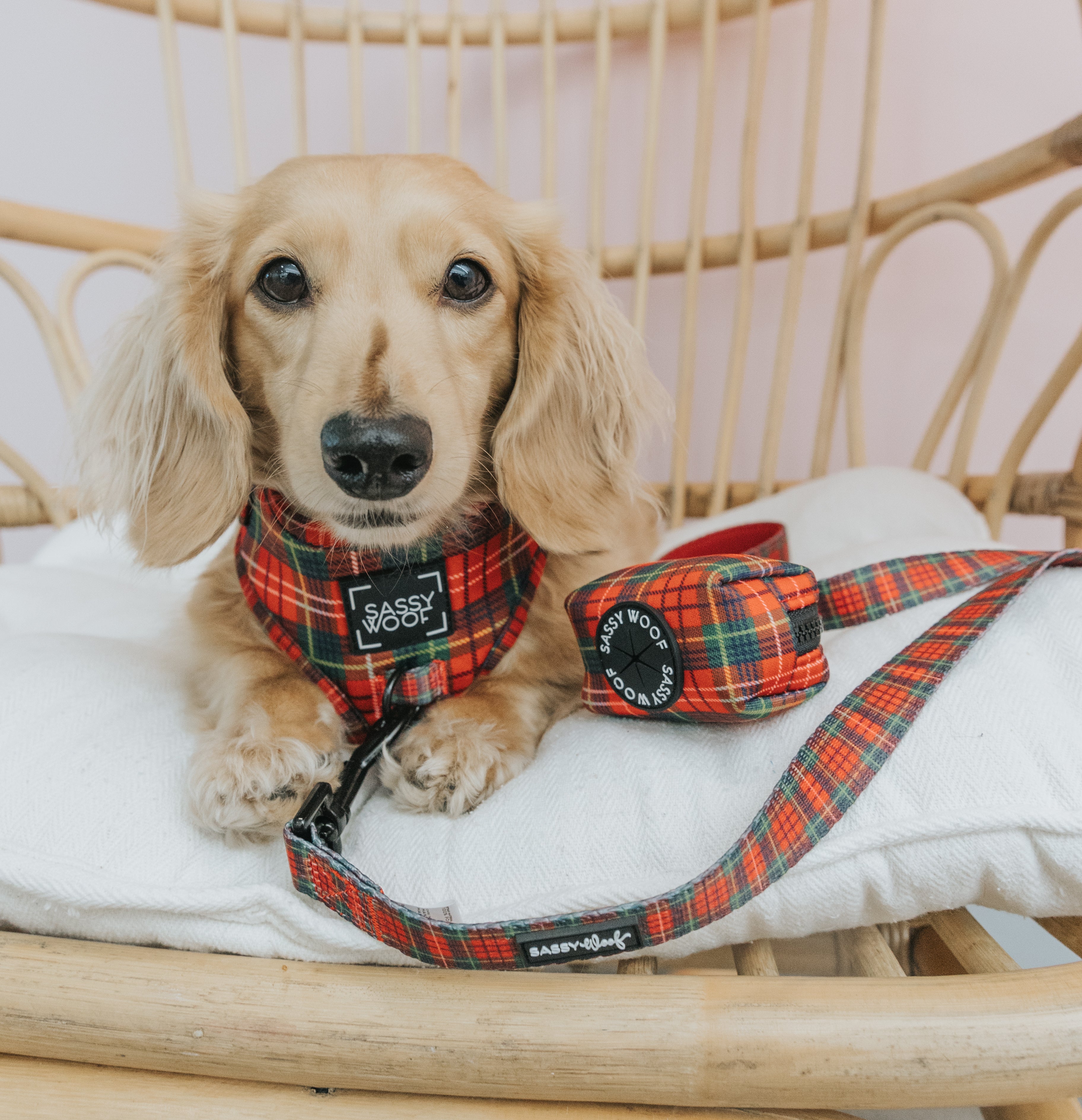 Dog Adjustable Harness - Deck the Paws